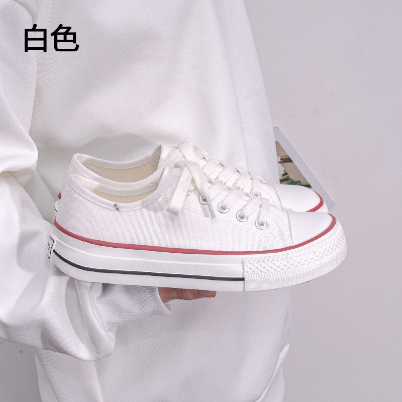 6226 화이트