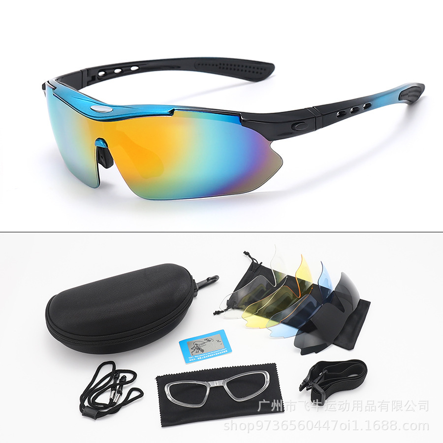 통합된 파란색 편광 세트