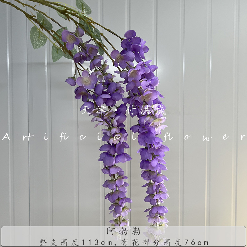 아블러-다크 퍼플