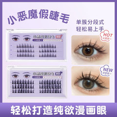 BQI devil false eyelashes upper eyelashes natural thick hard stem single cluster fairy sunflower grafted comic eyelashes