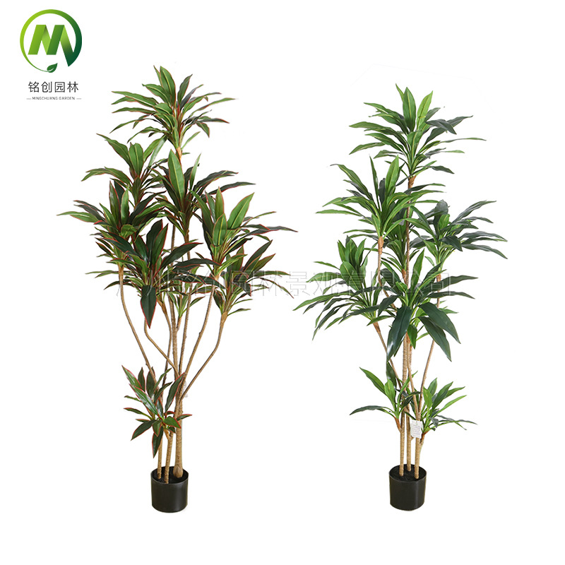 Simulación de paisaje de plantas verdes Terciopelo Planta falsa de hierro brasileño de alta gama Planta en maceta Simulación de suelo interior Planta verde con maceta