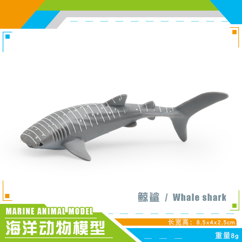 BL - 5333 Ballena de ballena 8g
