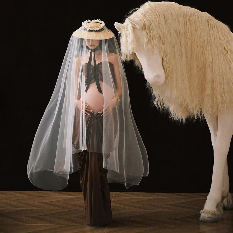 Year of the Horse Pregnant Women's Suit Photo Studio Photo Shoot Pregnant Mommy French Retro Fashion Big Belly Photo White Horse Art Photo