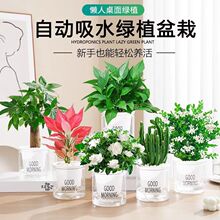 �Gֲ�G�}���Ե��m�����҃Ⱥ�ؔ���k��������d�ӻ�ˮ��ֲ��S���l