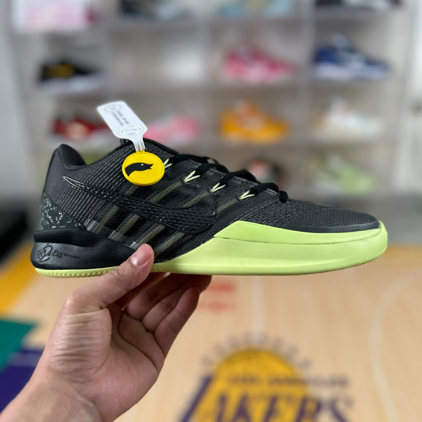 Zapatillas de Baloncesto Sabrina 3 de Malla y Caucho, Transpirable, Antideslizante, Amortiguador, para Baloncesto y Deportes