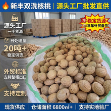 双洗新丰核桃出口级品质新疆产地直供支持OEM漂白新丰核桃大果
