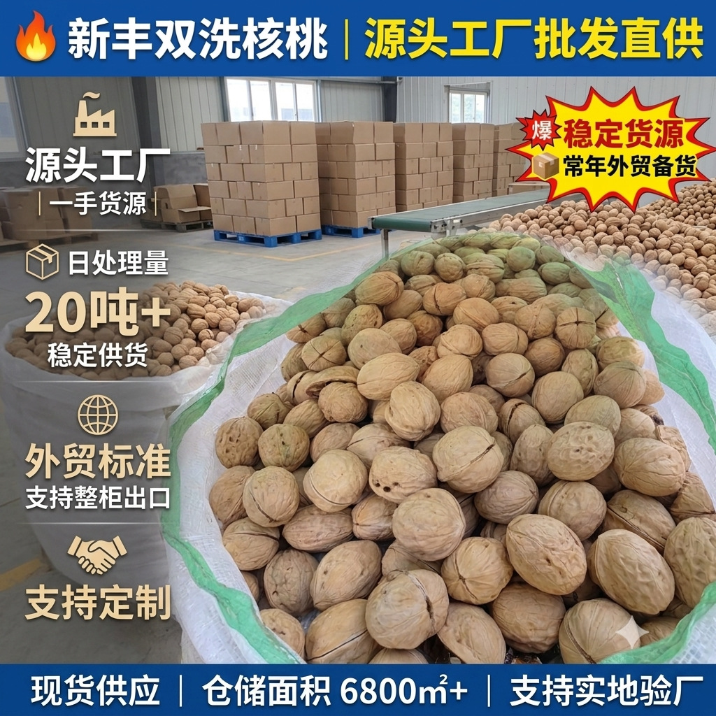 双洗新丰核桃出口级品质新疆产地直供支持OEM漂白新丰核桃大果