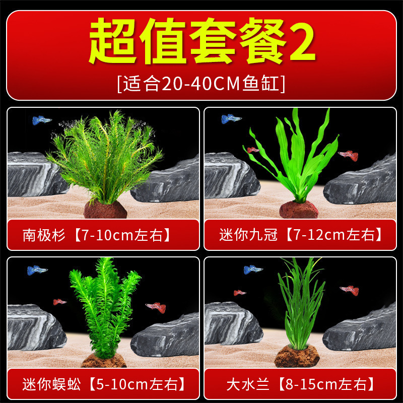 火山石水植物鱼缸净化水质懒人造景摆件全套底砂套餐性真|undefined