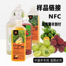 OEM定制冷冻小黄姜汁果蔬汁浆奶茶店原料水果汁样品专拍顺丰到付