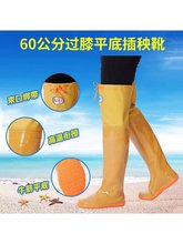 Ͳ����ˮЬ��Ů��ˮѝ��ѥ��Ьˮ��Ь��~���L��ˮЬ