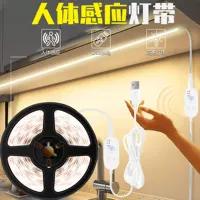 Трансграничный Специально для 5 В Низкое напряжение Smart led2835 индукционная лампа человека с USB шкаф шкаф кровать светодиодная индукционная лампа