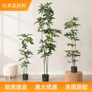 ���W�p�ݷ���lؔ�������҃ȿ͏d���P�Ƶ�٘��̈��T���쾰��ֲ��