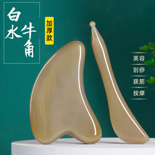 ˮţǹ沿ĘĘ۲ܽŮȫͨ÷