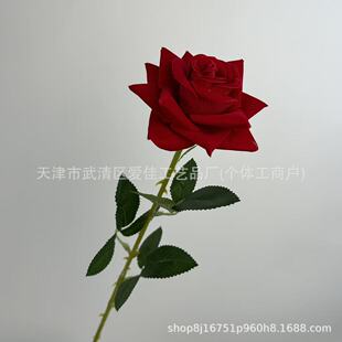�S�����l���滨�q����õ�Aõ������Y�û������[·�����Ų廨�ٻ�
