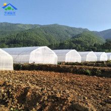 �V�ݹ��S���� ���ϴ����價ܲ��ϳ��� ���׷Nֲ�߲˴��｛������