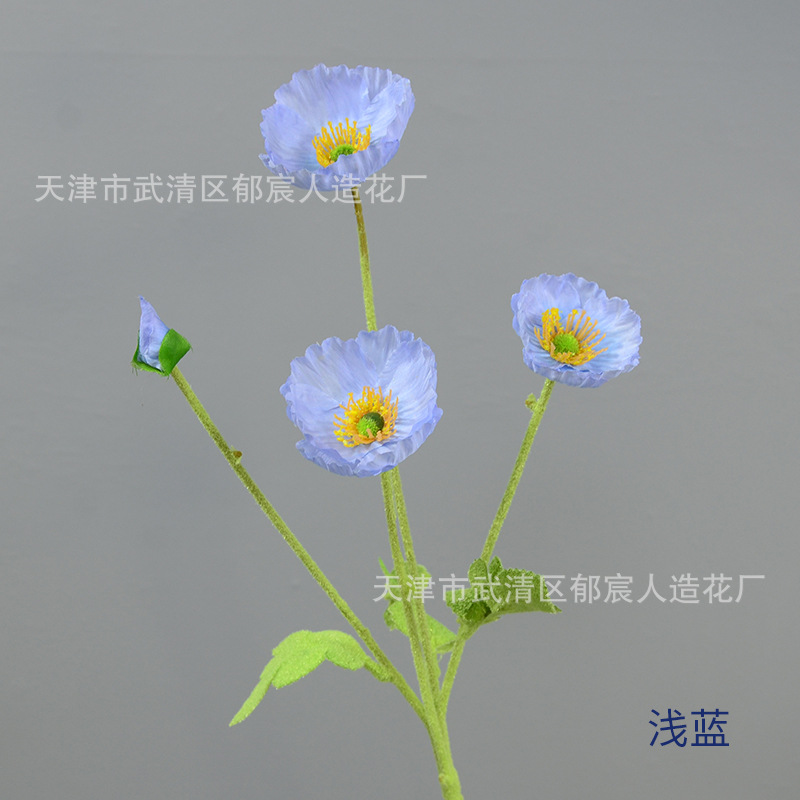 라이트 블루