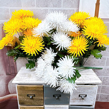 ��������Ĺ���뵿����滨�ջ����x��Ʒ���[�Ż����ٻ�����