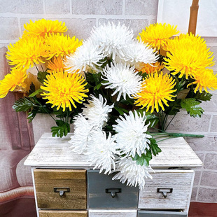 ��������Ĺ���뵿����滨�ջ����x��Ʒ���[�Ż����ٻ�����