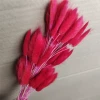 Big red rabbit tails of about 60 pieces of about 60