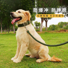 狗狗牵引绳中大型犬狗链子项圈金毛泰迪脖圈遛狗绳背心式胸背带