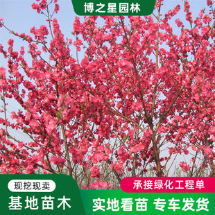 �t�~�������^�p�һ��������~������G����ͥԺ�e���������~�Ҙ���