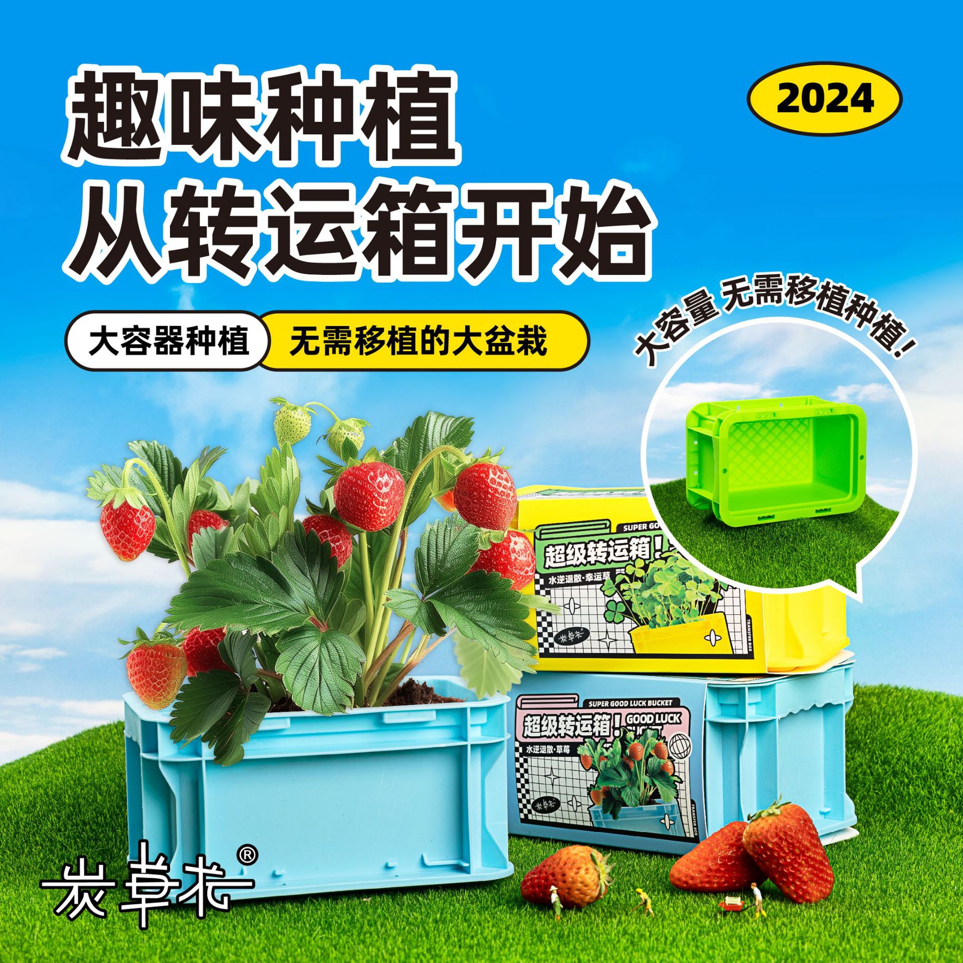 转运箱花盆植物种植绿植小盆栽桌面花卉鲜花盆栽盆景盲盒店铺批发