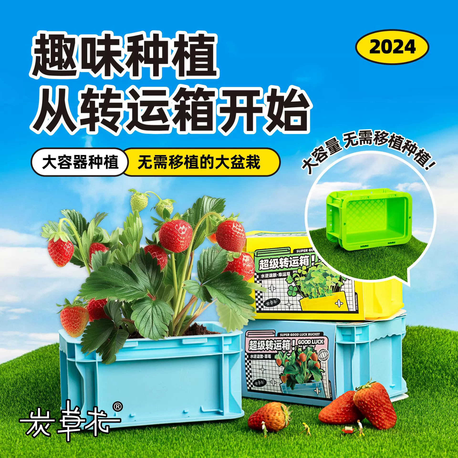 转运箱花盆植物种植绿植小盆栽桌面花卉鲜花盆栽盆景盲盒店铺批发