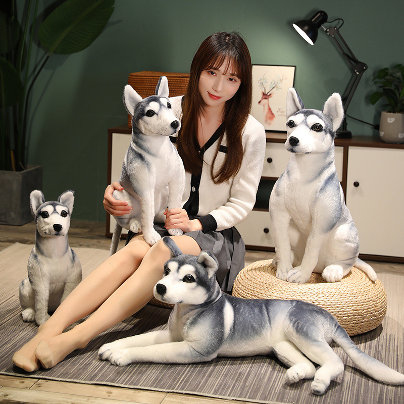 Simulación Husky muñeca peluche juguete perro ERHA muñeca niños comodidad trapo muñeca niño regalo de cumpleaños