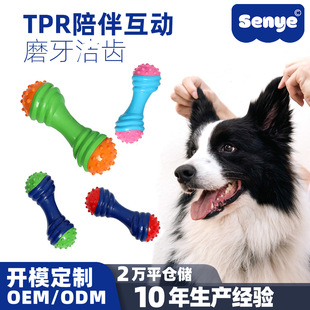 Pet color matching barbell dog toy molar teeth cleaning puppy toy bite toy wholesale dog supplies