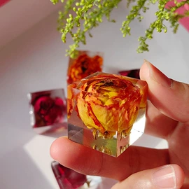 标本;创意礼品套装;树脂工艺品