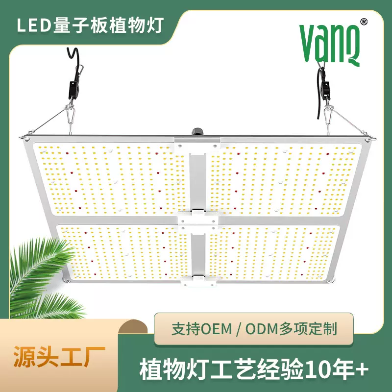 LED量子板植物灯温室大棚草莓生菜种植生长补光灯IP65支持ODM