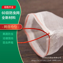 厂家 纯料聚乙烯60目加厚32目防虫网果园养殖围网 蔬菜大棚防虫网