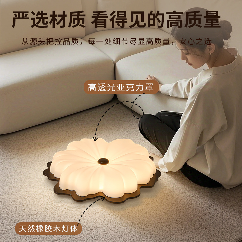 Lámpara de techo para dormitorio de estilo antiguo Daguanyuan, lámpara de techo retro para habitación infantil, lámpara Zhongshan de espectro completo para proteger la vista L335
