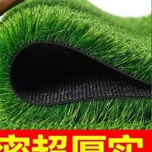 ��ƺ��̺��������ٲ�Ƥ�̨�׃��@ͥԺ�˹������쾰�Gɫ䁉|
