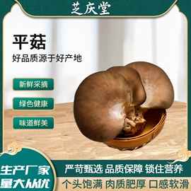 植物提取物;灵芝;其他干货
