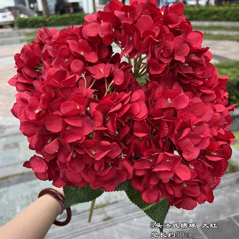 【シミュレーションアジサイ】外国貿易5頭フランスアジサイグリーンフランスアジサイ平が結婚祝いの花卸売りをしている|undefined