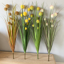 ���W�A����ݻ��JȔ�ݼٻ����ϻ��W�t�͏d�b[�Ż�ˇ�Sֲ��