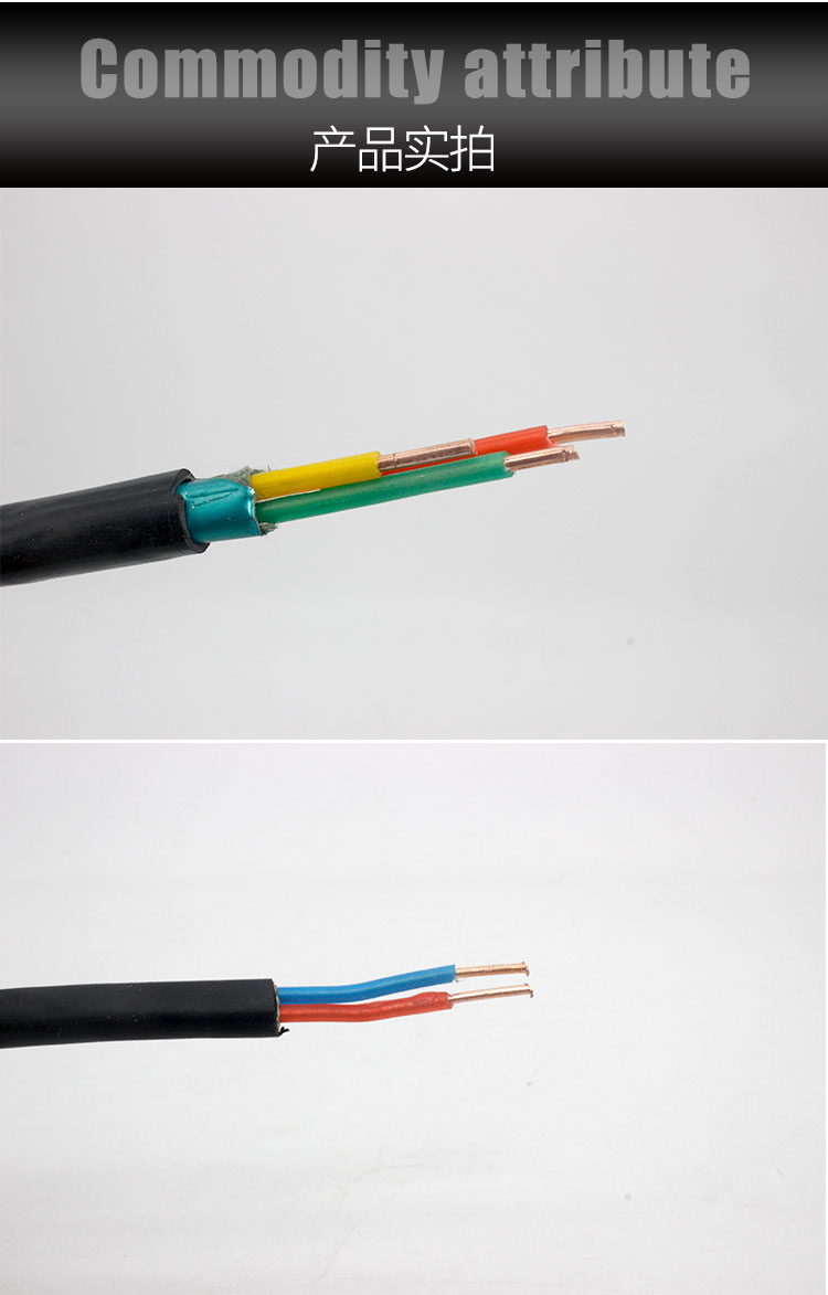 IMG_8563(20230424-210956)