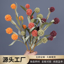 ������ɫϵ�S�����c�ٻ�����ɫ��ɫ��Y��ܛ�b���ý������⻨��