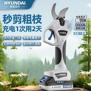 �n���F��늄Ӽ���������֦����֦�����늟oˢ�����͈@�ֵ��޼�