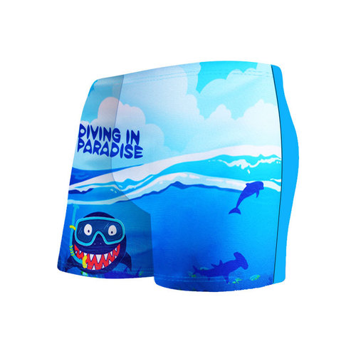  New Children's Baby Baby Swimming Pants Boys' Boxer Hot Spring Swimsuits Swimsuits Cute Cartoon Swimsuits
