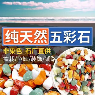 Natural rain flower stone pebbles potted stone landscaping decorative paving stone fish tank bottom sand fleshy paving stone aquarium