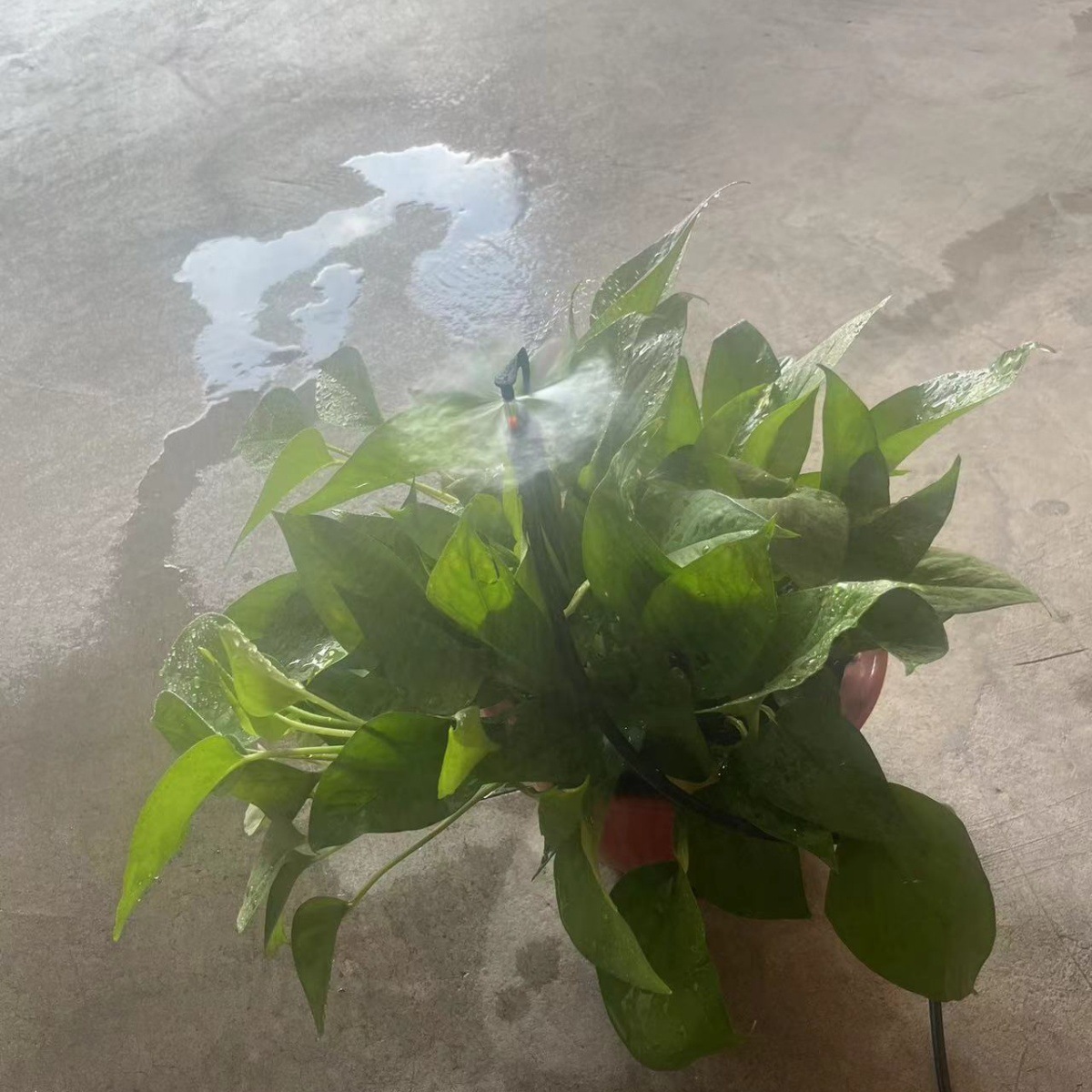 7.5mm clip G-type aluminio atomización refractiva micro pulverización invernadero de semillas de cultivo de hongos micro pulverización granja de enfriamiento humidificación