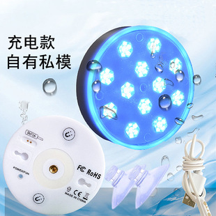 2022�¿��늿ˮ�� �b�؝�ˮ��Ӿ��Ư�����b���߲�׃ɫˮ�ן�