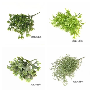 仿真塑料草羊齿蕨鹿角草天文冬洋葱草把束植物墙花箱造景装饰绿植