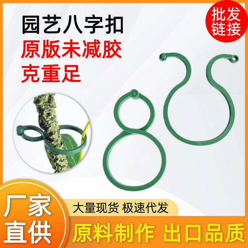 Садоводство 8 слов пуговицы Овощной сад Зеленые помидоры из виноградной лозы