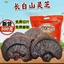 `֥5gһbLɽ`֥Ұ`֥Ƭ֥Ƭ