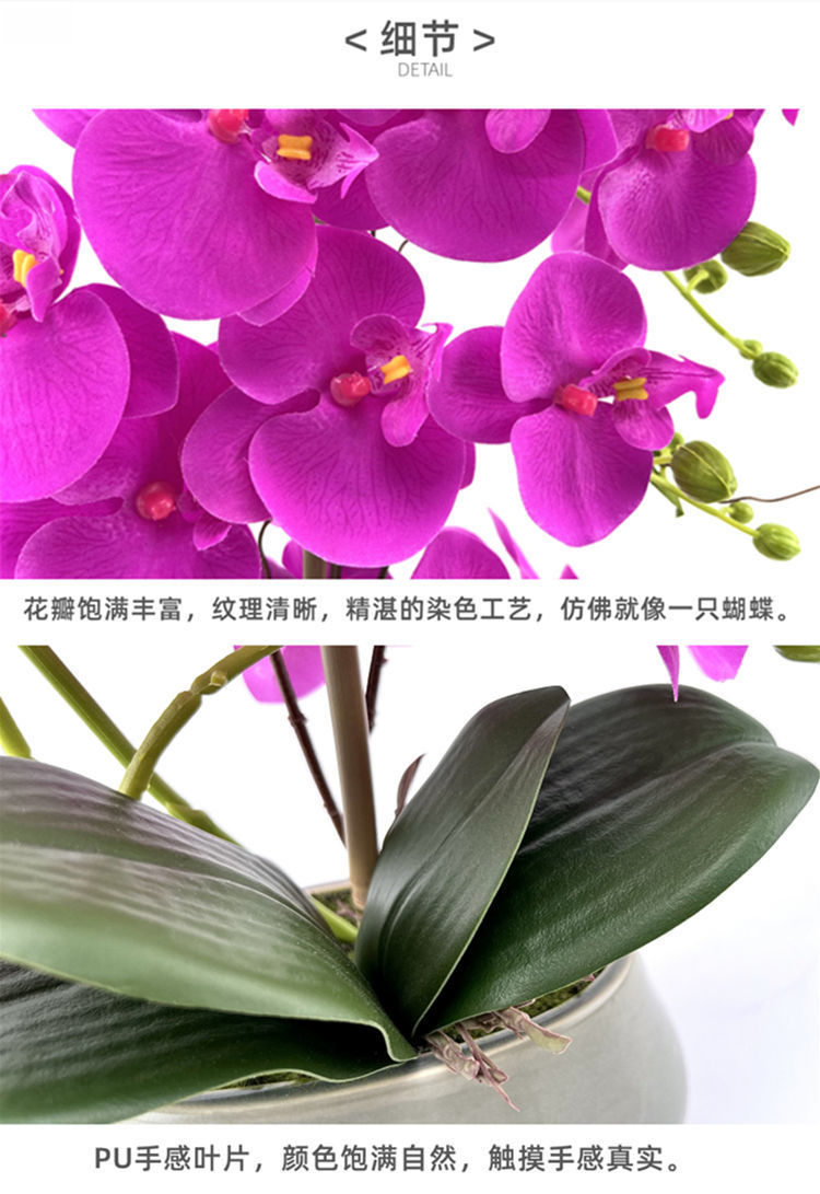 87bf5b2f-b258-4918-a990-c36a881cce63.jpe