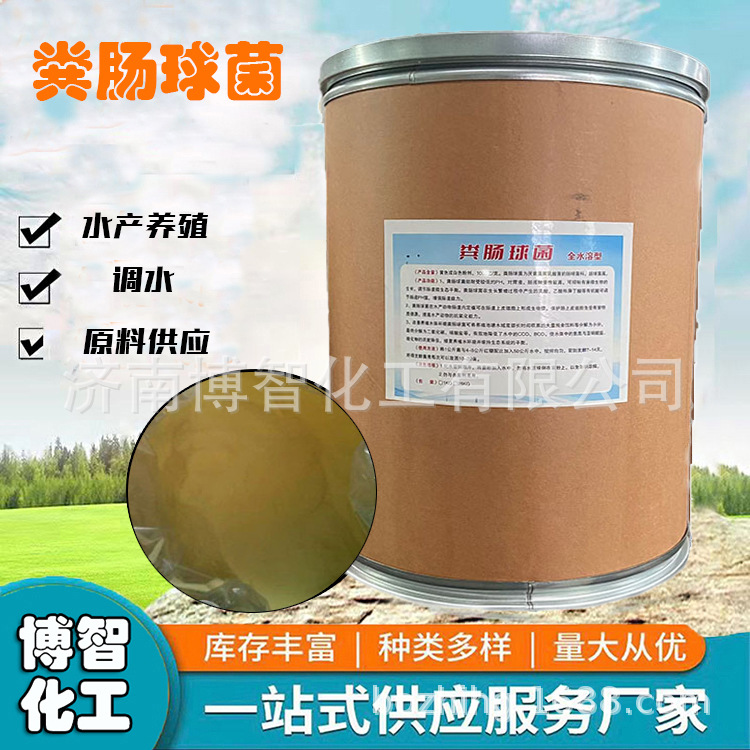 粪肠球菌水产养殖净化水质粪肠球菌原粉发酵扩陪水产粪肠球菌