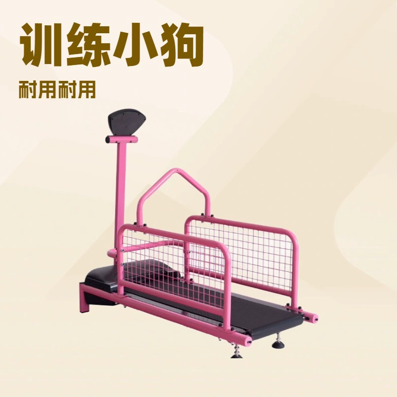 Stepper, equipment for training, pet, for running
